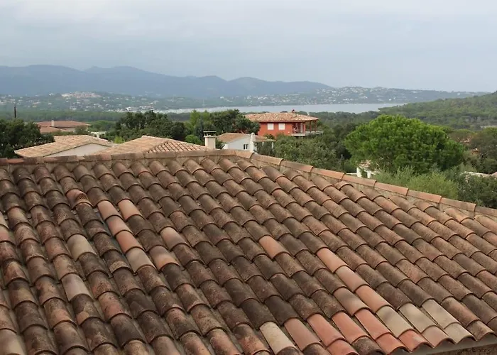 Alpanna * Cirendinu